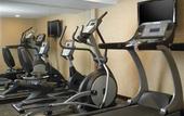 Туры в отель Holiday Inn Wall Street