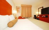Туры в отель Best Western Kennedy Airport