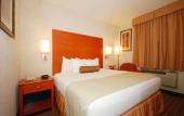 Туры в отель Best Western Kennedy Airport