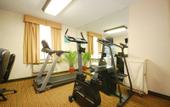 Туры в отель Best Western Kennedy Airport