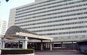 Туры в отель International Jfk Airport Hotel