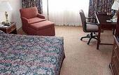 Туры в отель International Jfk Airport Hotel