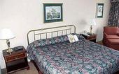 Туры в отель International Jfk Airport Hotel