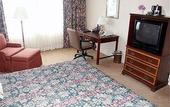 Туры в отель International Jfk Airport Hotel
