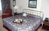Туры в отель International Jfk Airport Hotel
