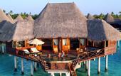 Туры в отель Coco Palm Dhuni Kolhu