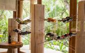 Туры в отель Soneva Fushi