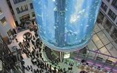 Туры в отель Radisson Blu Hotel Berlin