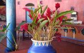 Туры в отель VH Gran Ventana Beach Resort
