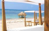 Туры в отель Embassy Suites Los Marlins Hotel & Golf Resort