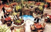 Туры в отель Embassy Suites Los Marlins Hotel & Golf Resort