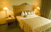 Туры в отель Embassy Suites Los Marlins Hotel & Golf Resort