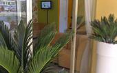 Туры в отель Hotel Morri's