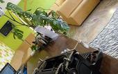Туры в отель Hotel Morri's