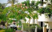 Туры в отель Blue Reef Naama Bay