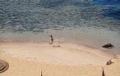 Туры в отель Blue Reef Naama Bay