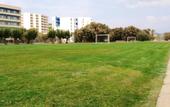 Туры в отель Blue Sea Beach Resort