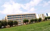 Туры в отель Blue Sea Beach Resort