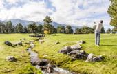 Туры в отель Pirin Golf Hotel & Spa
