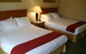 Туры в отель Holiday Inn Express Atlanta
