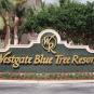 Туры в отель Westgate Blue Tree At Lake Buena Vista, оператор Anex Tour