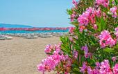 Туры в отель Bendis Beach Hotel