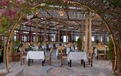 Туры в отель Dreams Beach Sharm El Sheikh