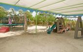 Туры в отель Dreams Beach Sharm El Sheikh