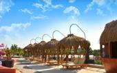 Туры в отель Dream World Palace