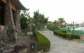 Туры в отель Helnan Taba Bay