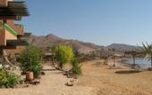 Туры в отель Helnan Taba Bay