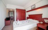 Туры в отель Wasa Hotel