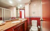 Туры в отель Wasa Hotel