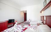 Туры в отель Wasa Hotel