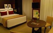 Туры в отель Blue Tree Towers Faria Lima