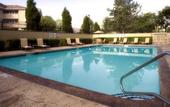 Туры в отель Holiday Inn Denver Lakewood
