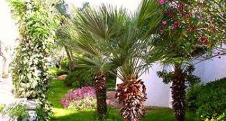 Bluesun Resort Afrodita 4*