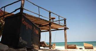 Papaya Playa Project 3*