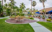 Туры в отель Boat Lagoon Resort