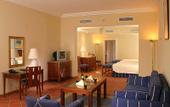 Туры в отель Ramada Plaza