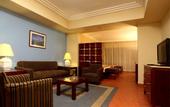Туры в отель Ramada Plaza