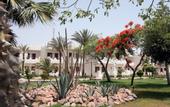 Туры в отель Swiss Inn Resort Dahab