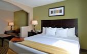 Туры в отель Comfort Suites Las Colinas Center