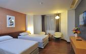 Туры в отель Flipper Lodge