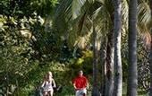 Туры в отель Lomani Island Resort