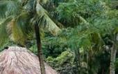 Туры в отель Paradise Taveuni