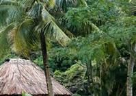 Paradise Taveuni