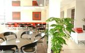 Туры в отель International Hotel