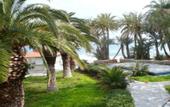 Туры в отель Palm Beach Hotel Stalis