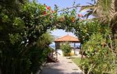Туры в отель Palm Beach Hotel Stalis